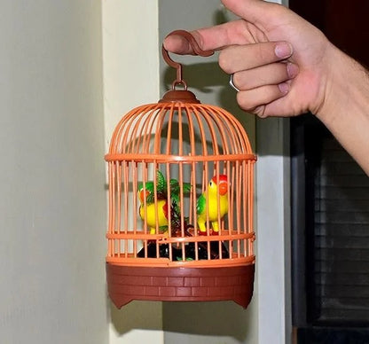 Musical light Bird cage with 2 birds